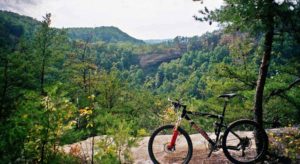 Giant bikes from Indy Cycle Specialist Indianapolis