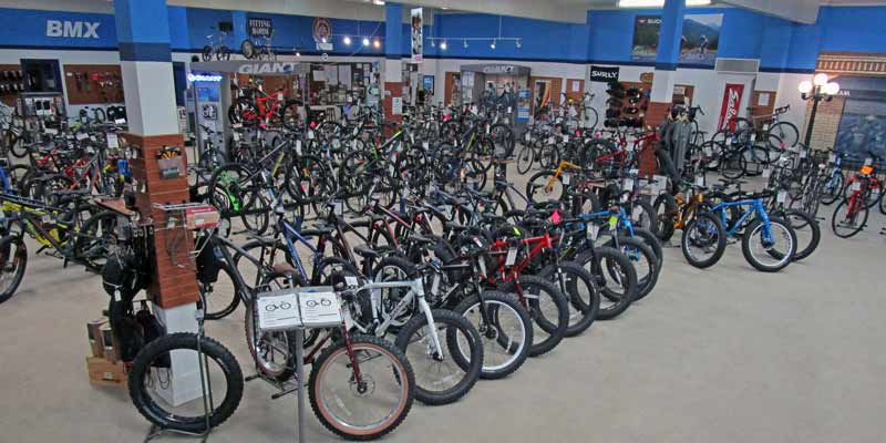 Bike specialist hot sale