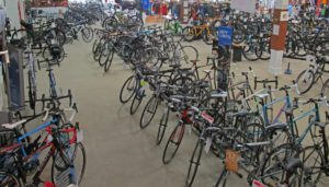 giant display of bikes at Indy Cycle Specialist