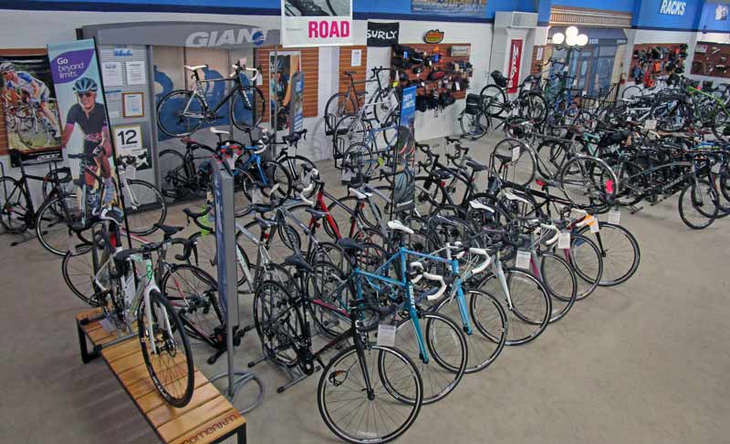 Giant Bikes at Indianapolis Cycle Specialist